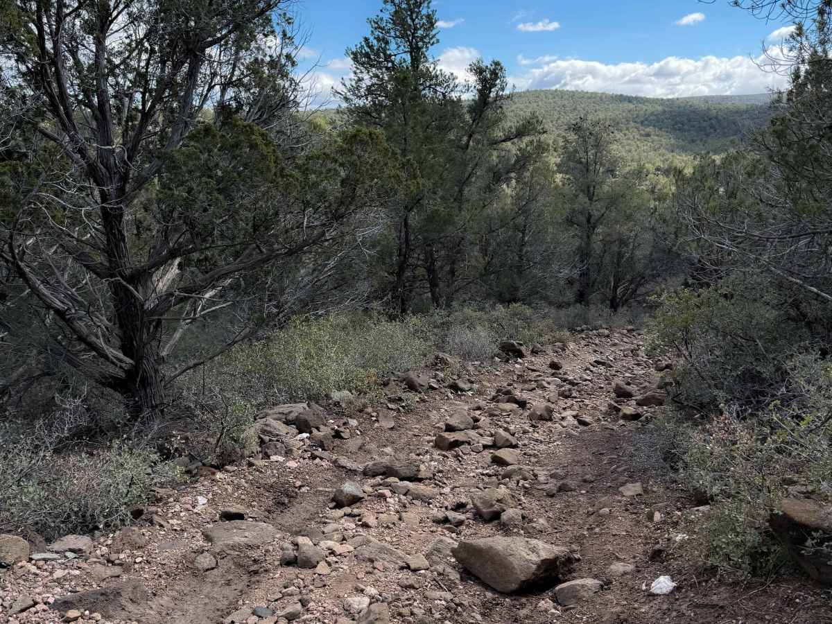 Coldwater Trail #21 (ATV) photo 2