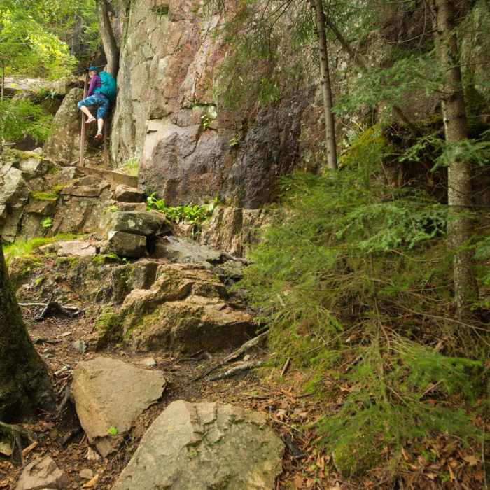 Near Beech Cliff Trail Near Beech Cliff Trail