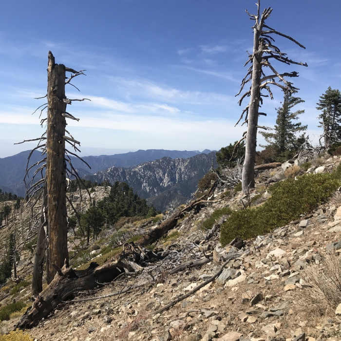 Near Crystal Lake to Mt. Islip Loop