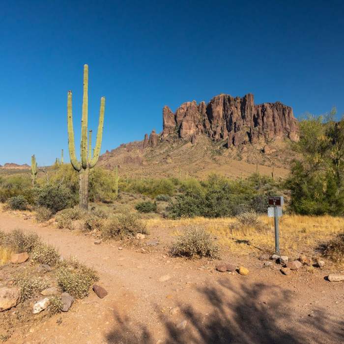 Near Discovery Trail