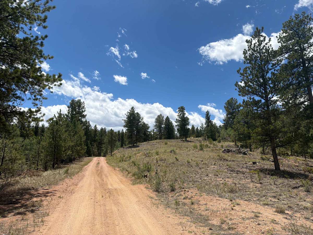 Star Road - FS 271 trail photo
