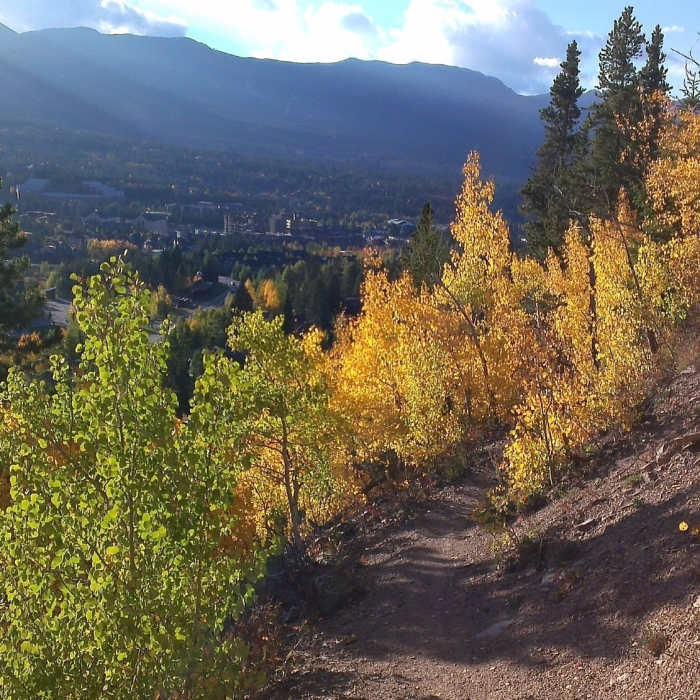 Near Hermit Placer Trail