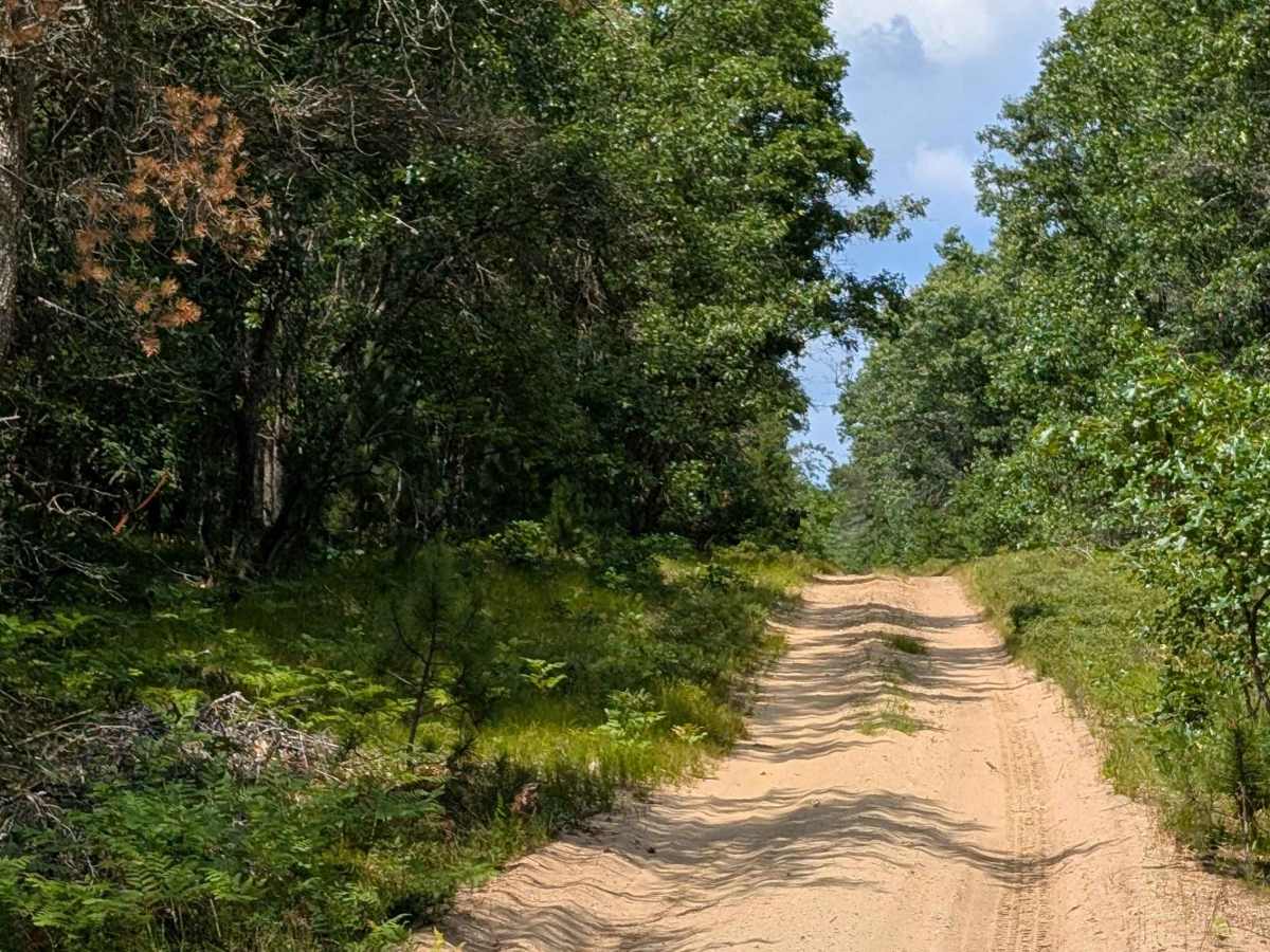 McArdle Road - FS 4432 photo 5