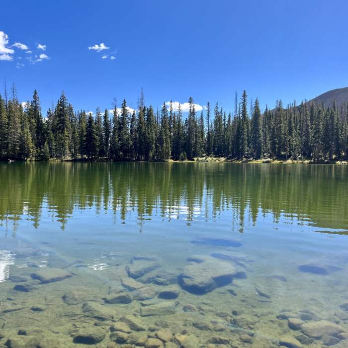 Near Mill Lake Out and Back