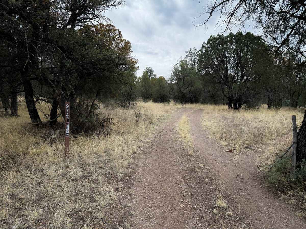 974 trail photo