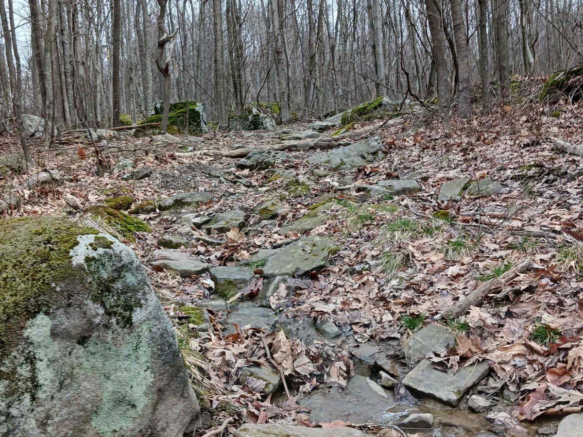 OHV 51 - Rock Run Recreation Area photo 5