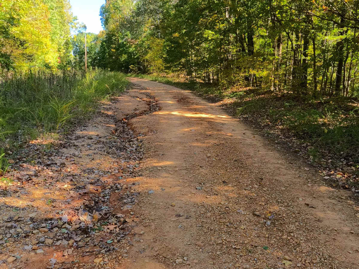 Shaw Branch - FS 154 photo 3