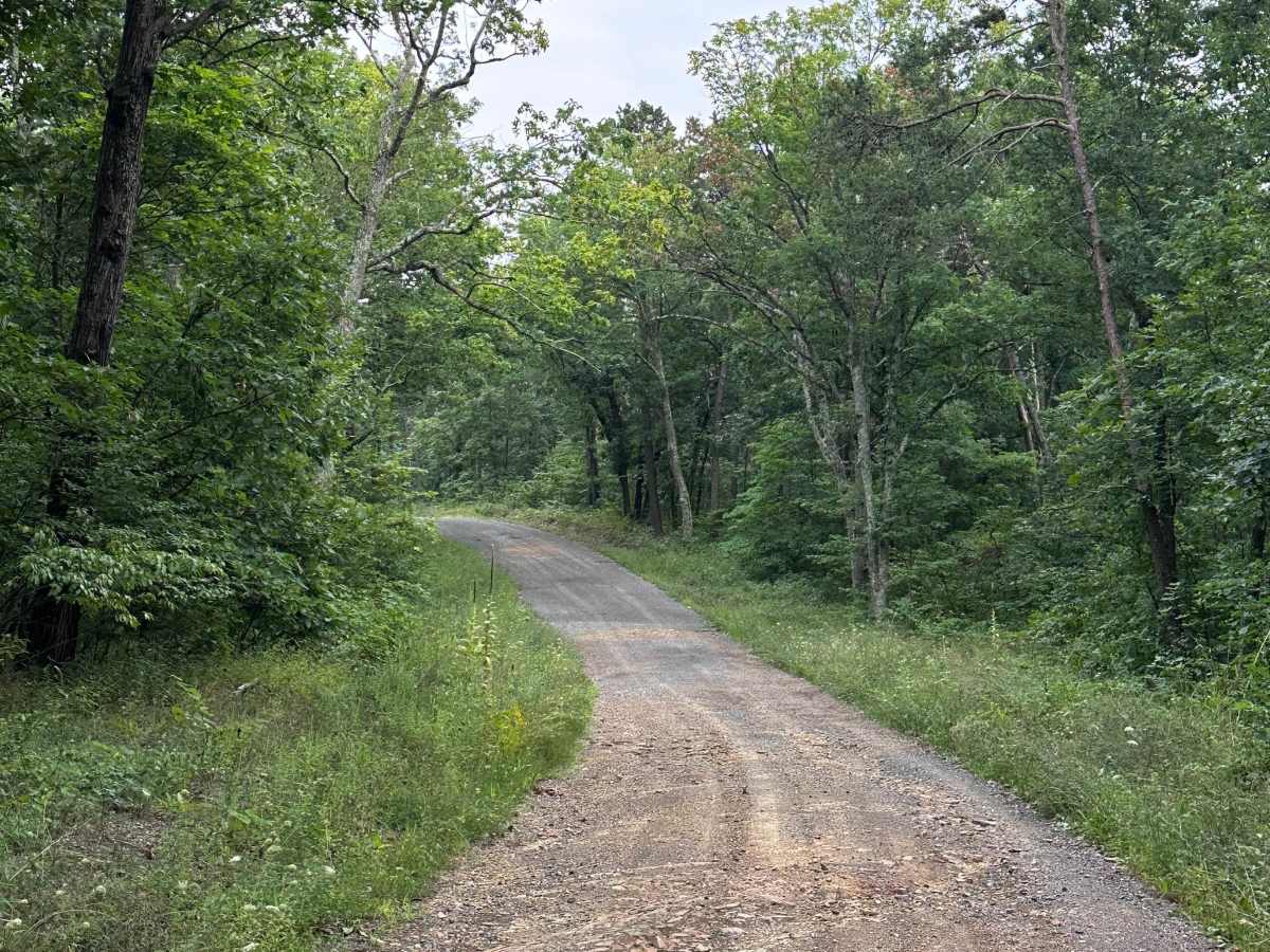 Hoop Pole trail photo