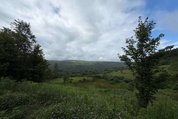 Brier Knob Road