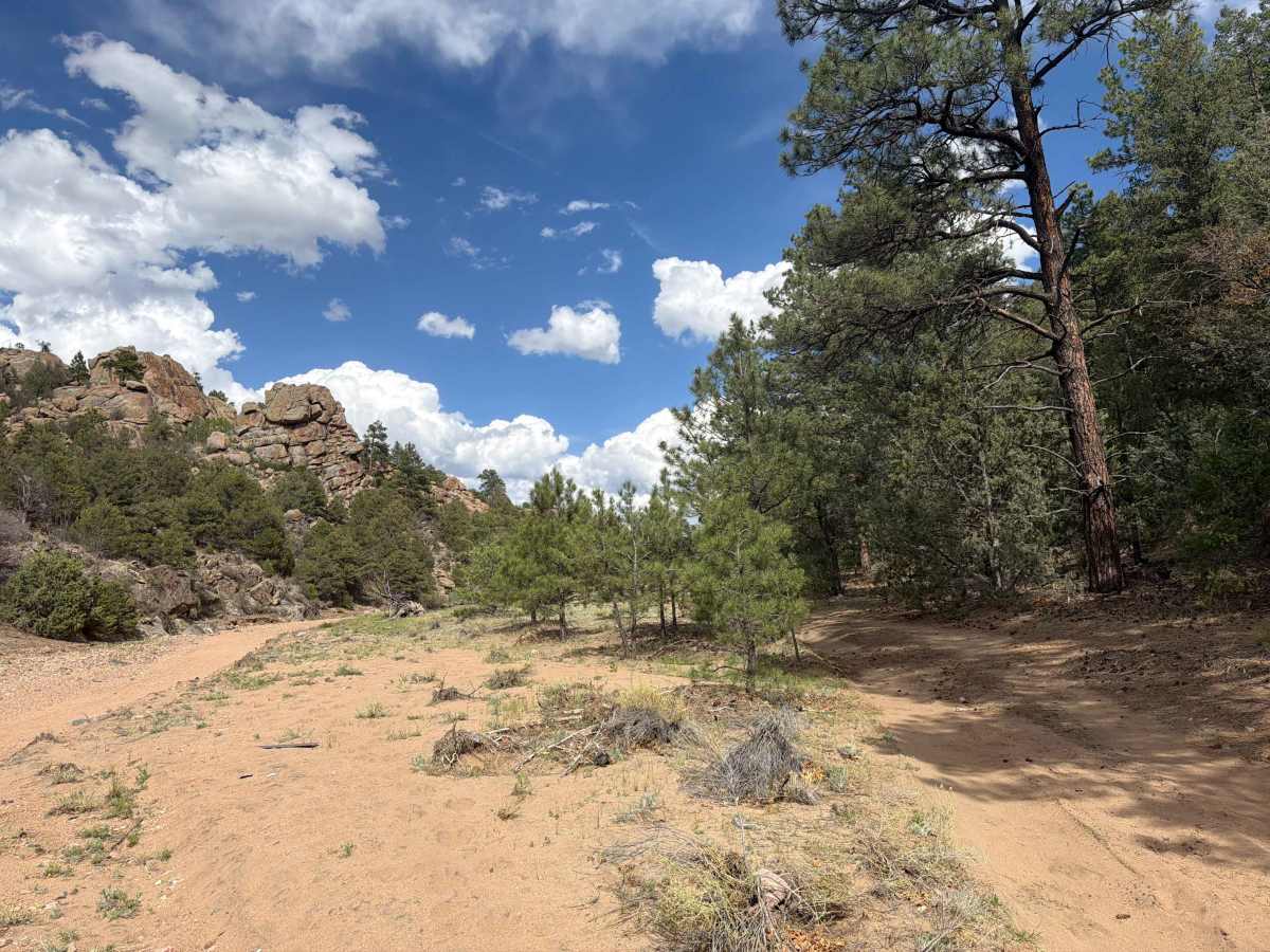  Turkey Gulch Road - BLM 6220 trail photo