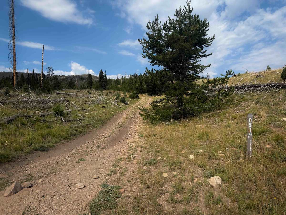 FS 051 trail photo