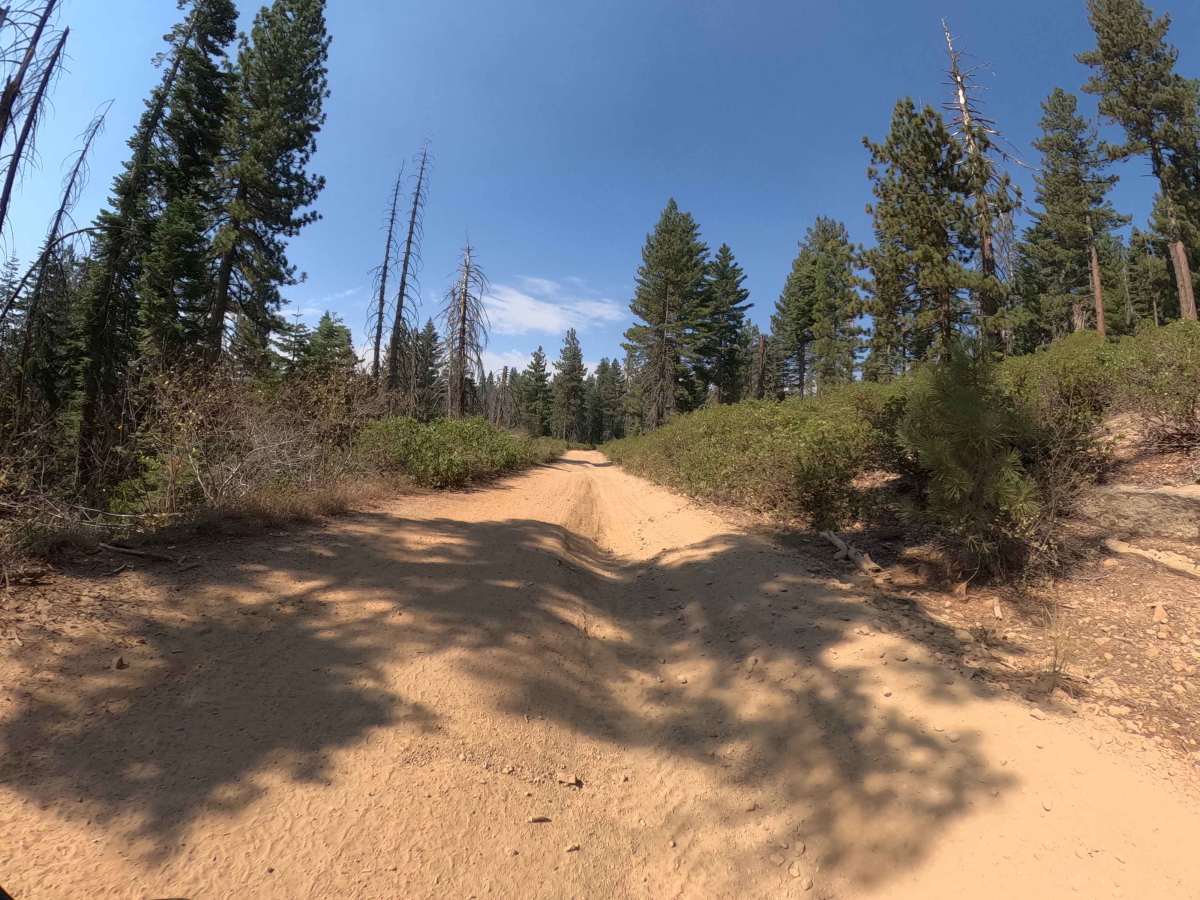 Little Poison Meadow - FS 6S099 photo 5