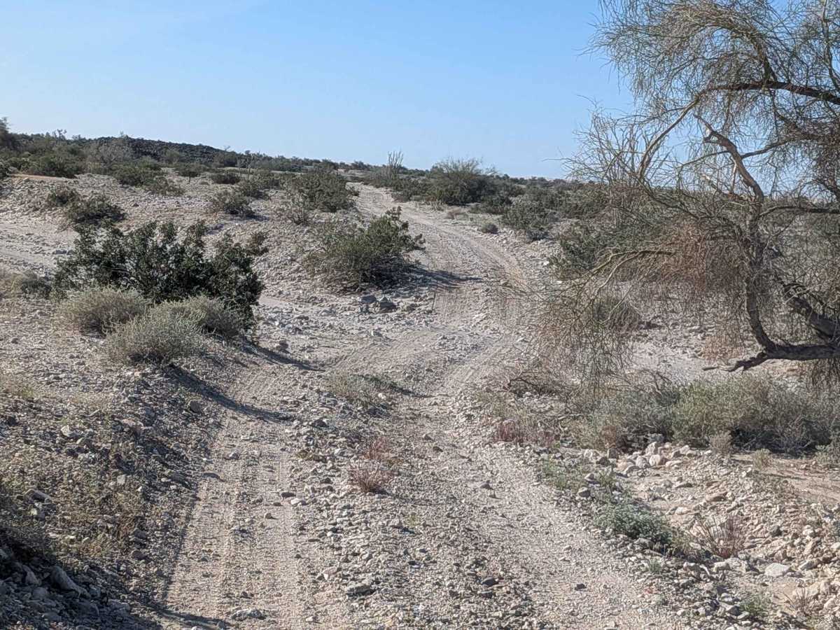 BLM 668 photo 6