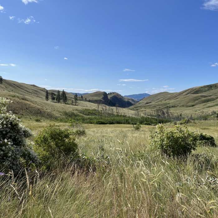 Near Pipestone Canyon Loop