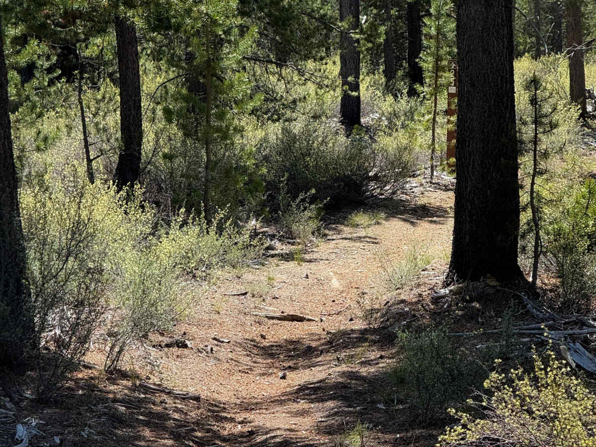 Trail 25  trail photo