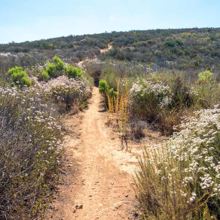 Near Glider Port Trail to Black Mountain Near Glider Port Trail to Black Mountain