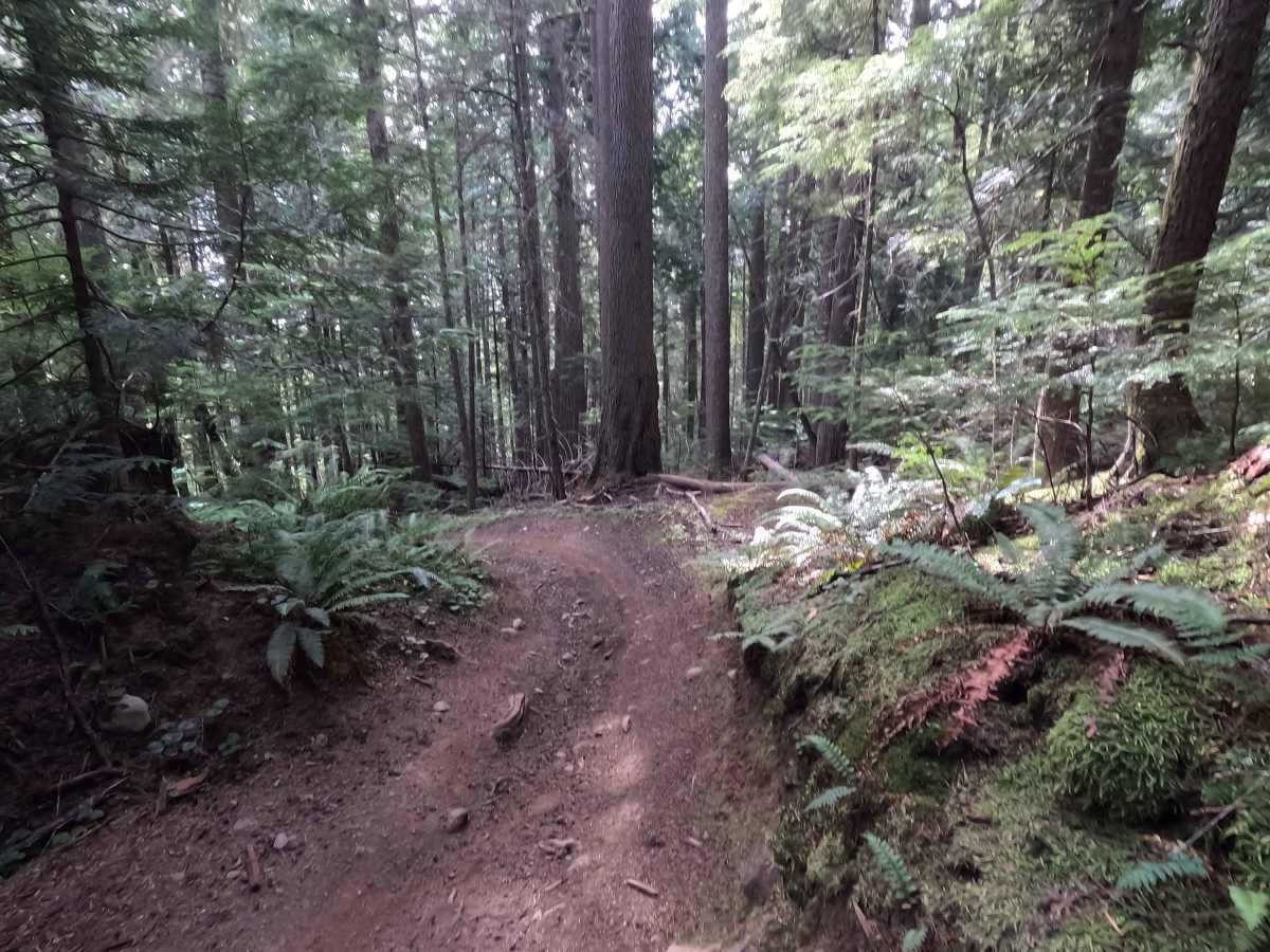Mount Angeles Connector photo 5