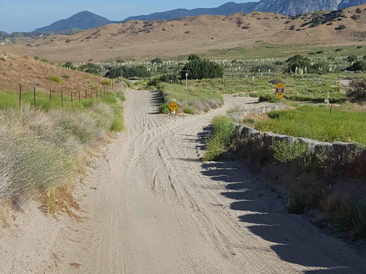 Rattler Trail photo 6