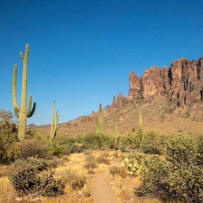 Near Discovery Trail