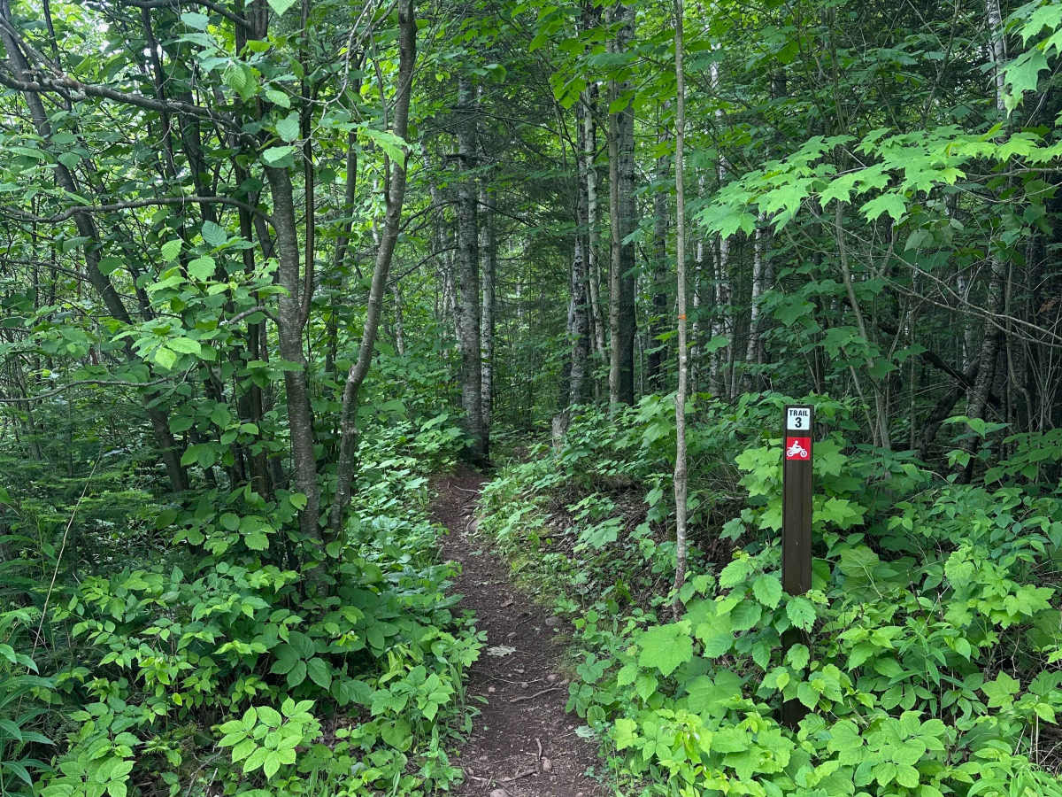 Alger Grade - Trail 3 trail photo