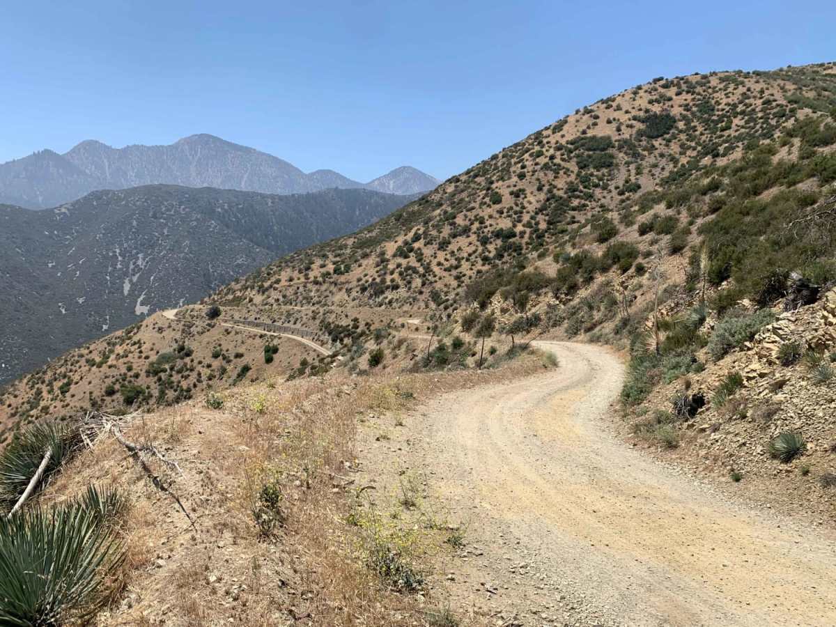 Upper Lytle Creek Divide trail photo