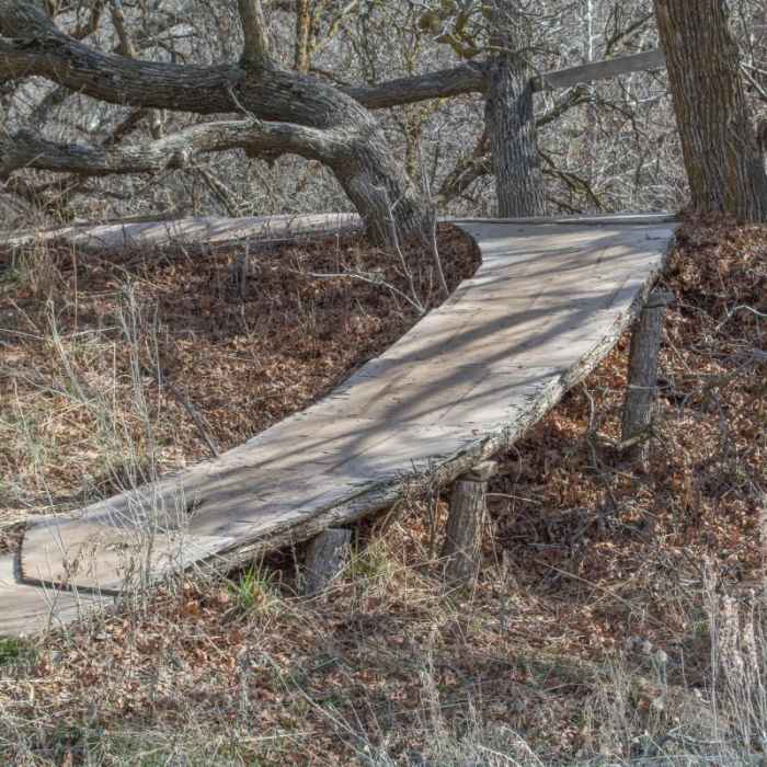 Near Perry Canyon Hiking Trail/Mines