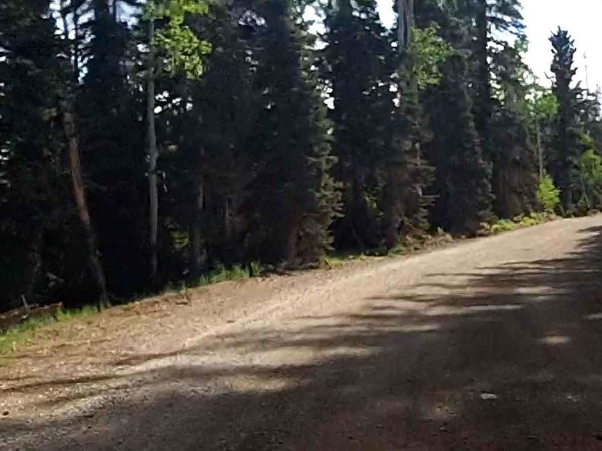 Red Desert Road photo 2