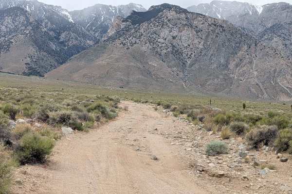Walker Creek Road - FS 19S01