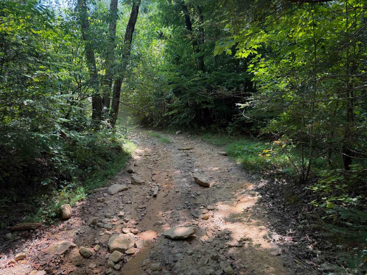 Bull Creek Settlement 17   photo 4