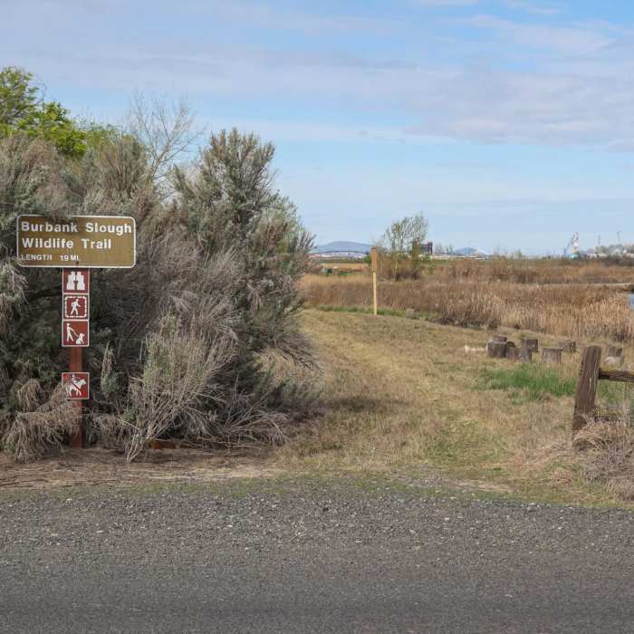 Near Burbank Slough Wildlife Trail