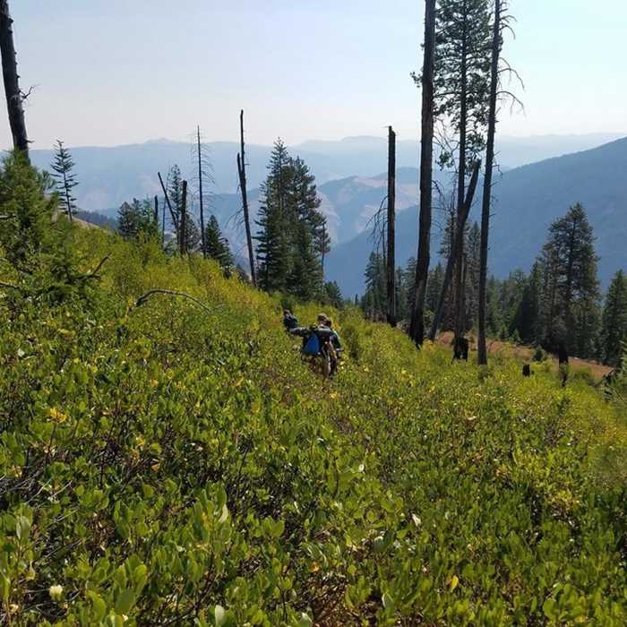 Near Devil of a Drop