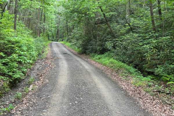 Joe Brown Highway