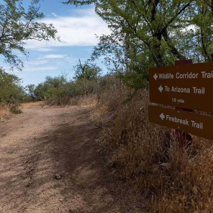 Near Wildlife Corridor Trail