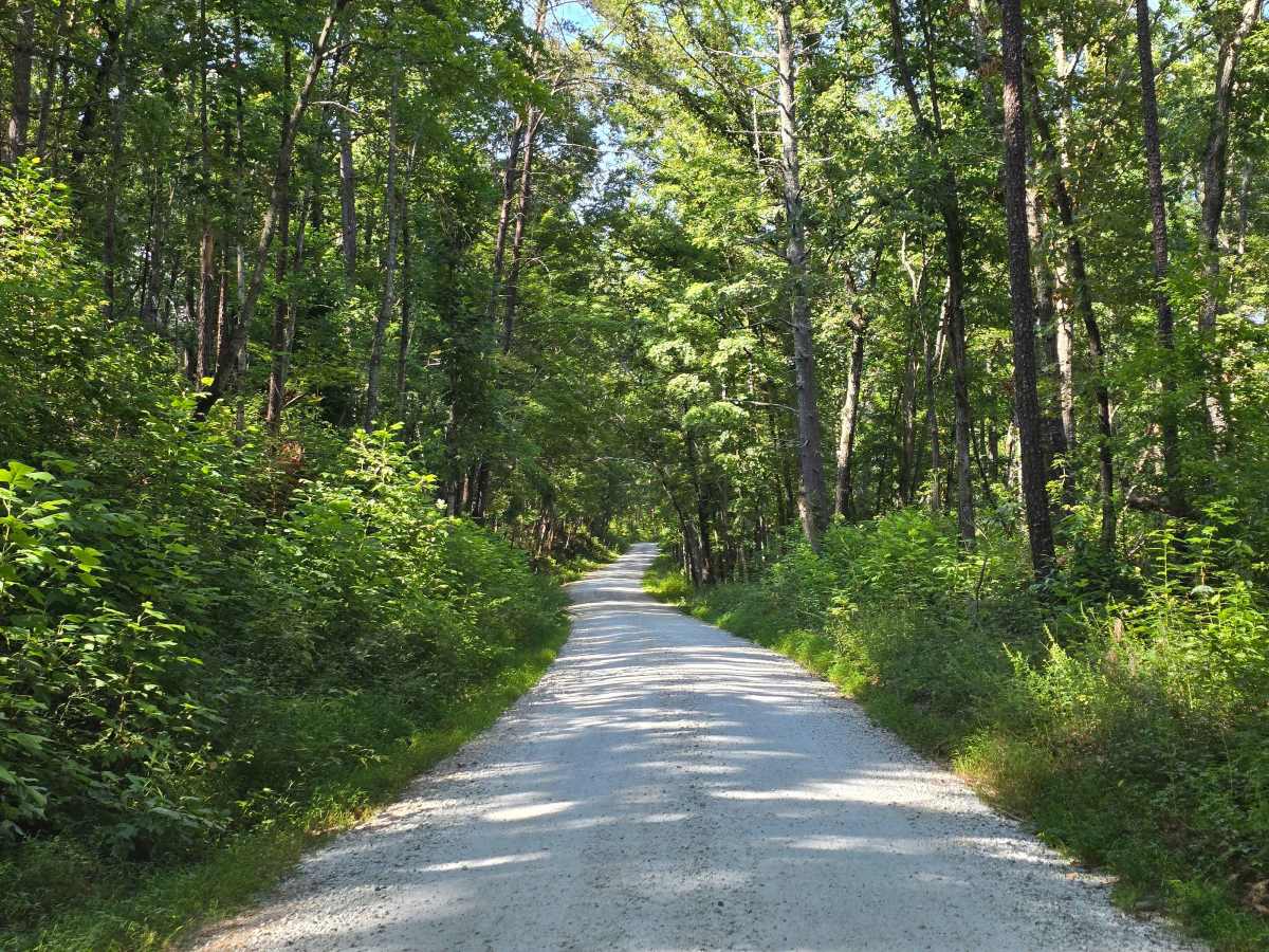 Whetstone Road - FS 721 photo 2