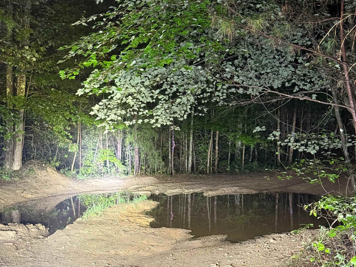 Treat Mountain / County Road 202 photo 6