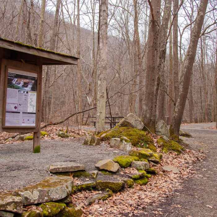 Near Glade Creek Trail