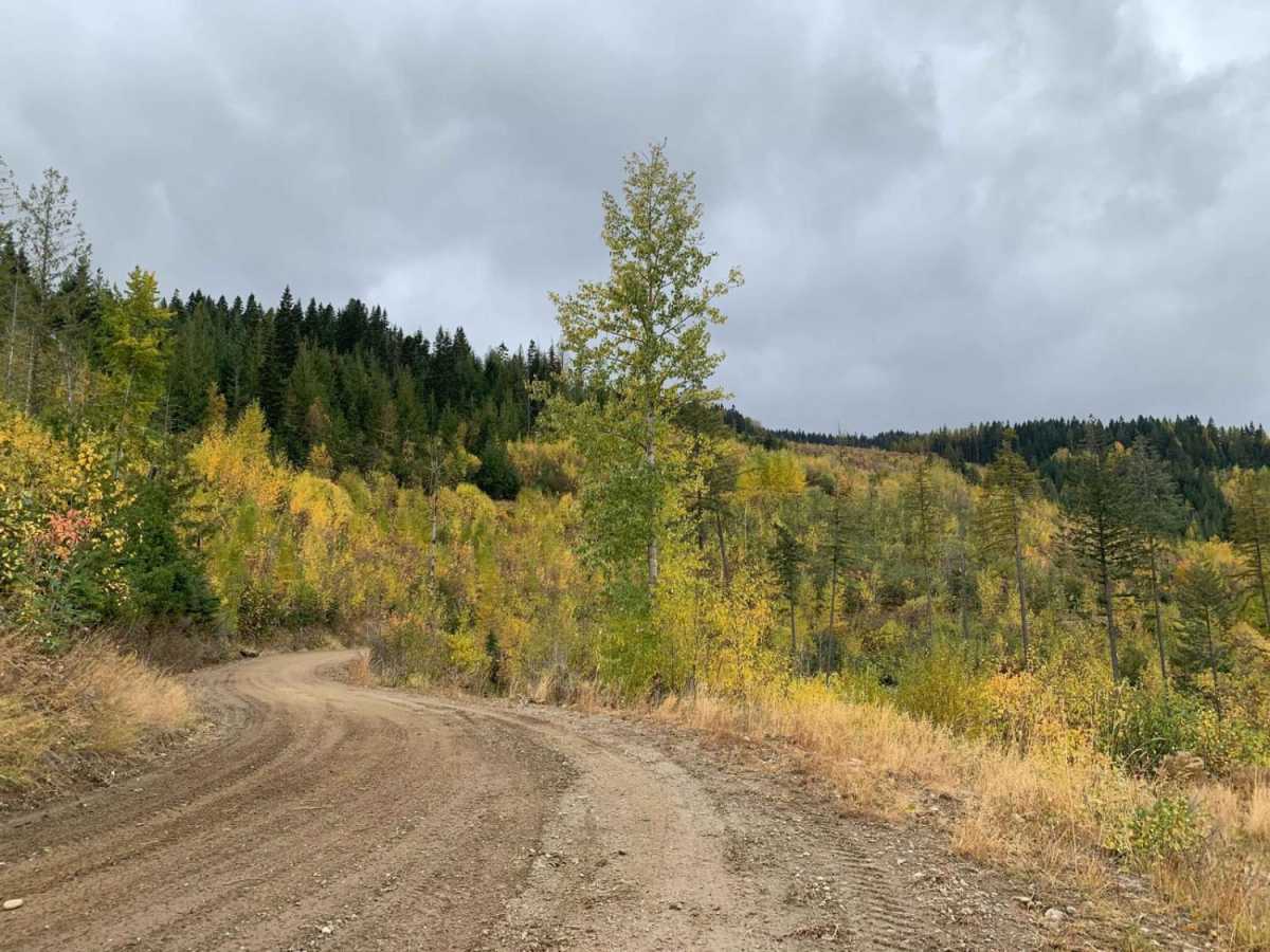 Mt Spokane via IEP Backroads trail photo