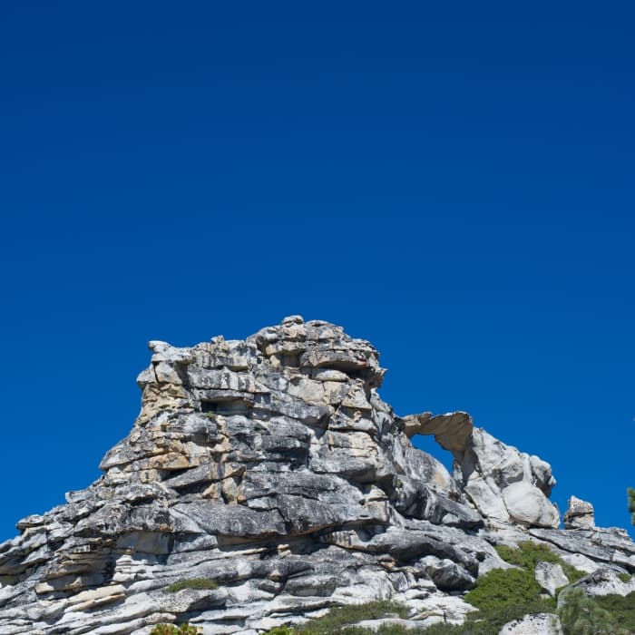 Near Indian Rock Trail