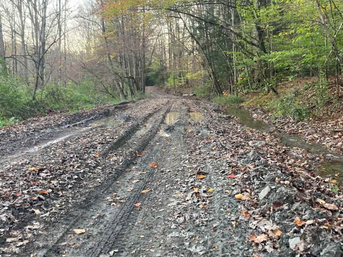 Borden Hollow Road photo 2