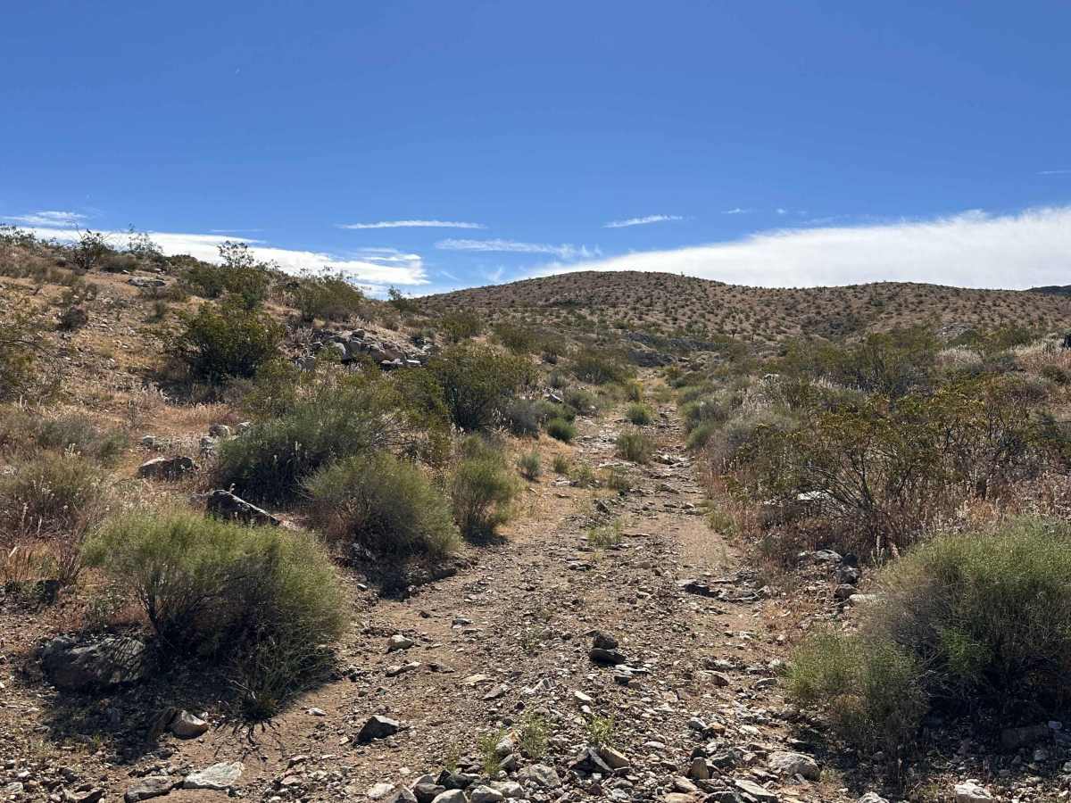 Rattlesnake Loop photo 3