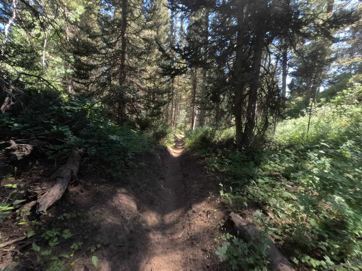 Davis Canyon photo 4