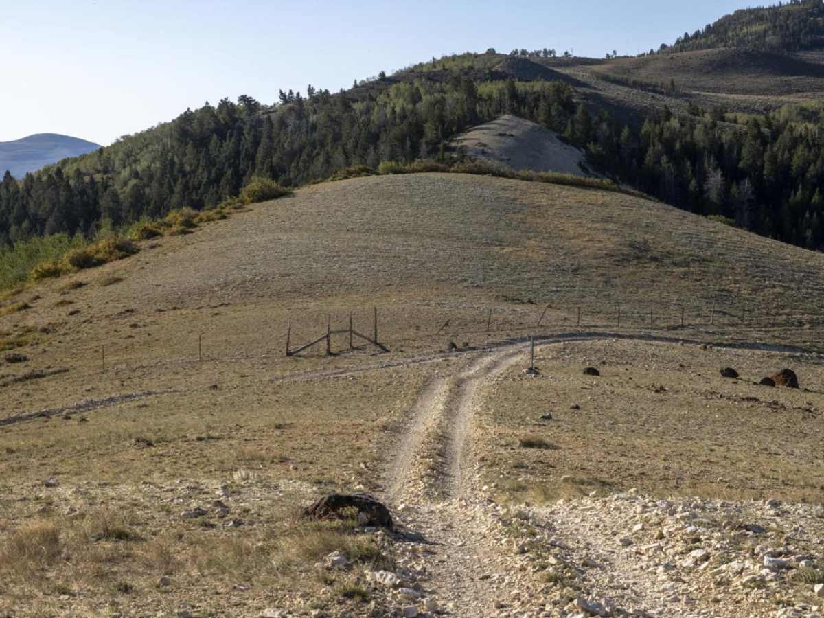 Meadow Gulch Trail photo 3
