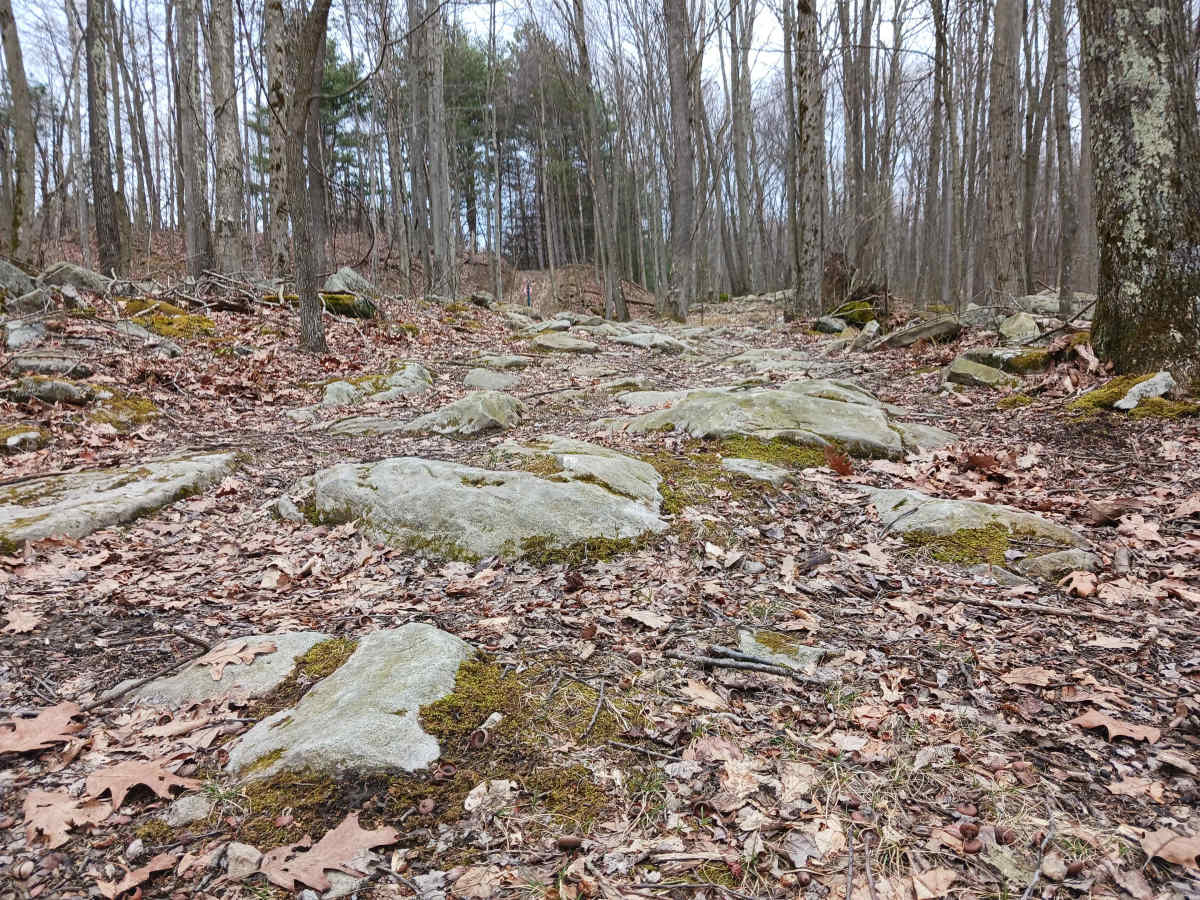 OHV 53 - Rock Run Recreation Area photo 6