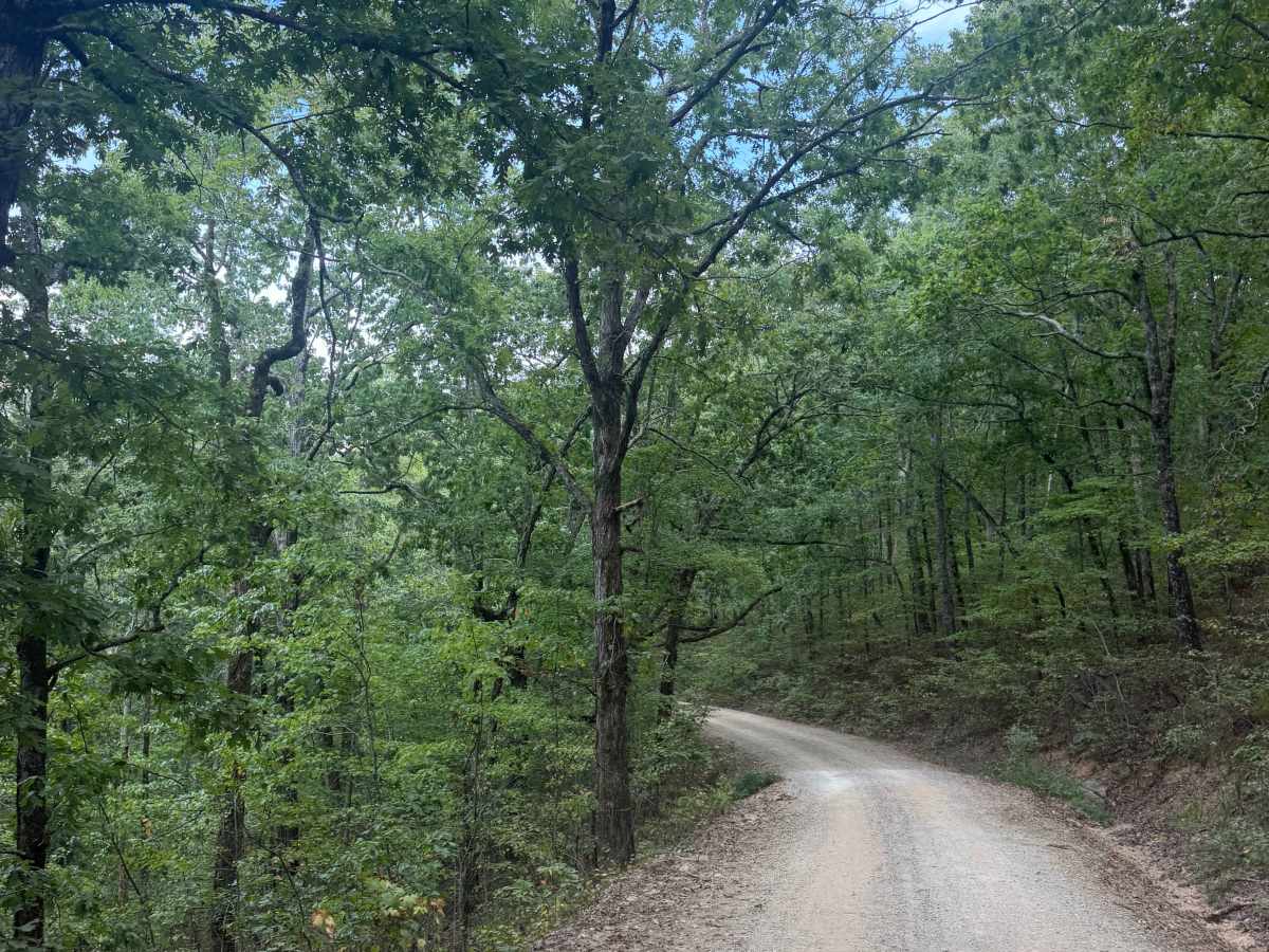 South Winona Forest Road photo 3