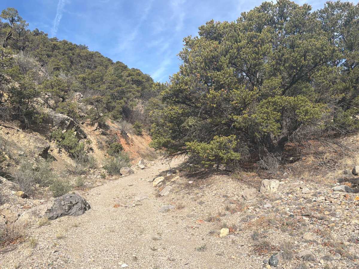 BLM 5971 photo 4