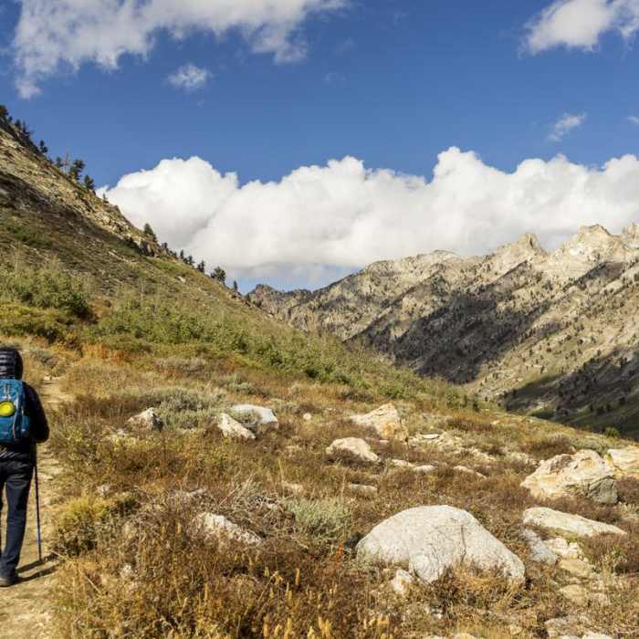 Near Island Lake Trail Near Island Lake Trail