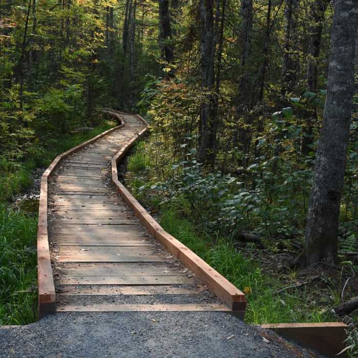 Near O Kun de Kun Falls via North Country Trail