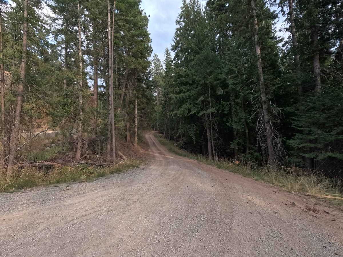 Half Moon Creek trail photo