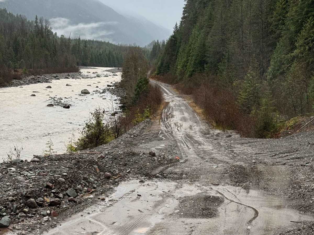 Clore Forest Service Road photo 5