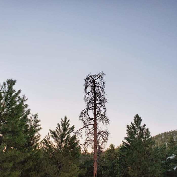 Near Newlin Creek Trail